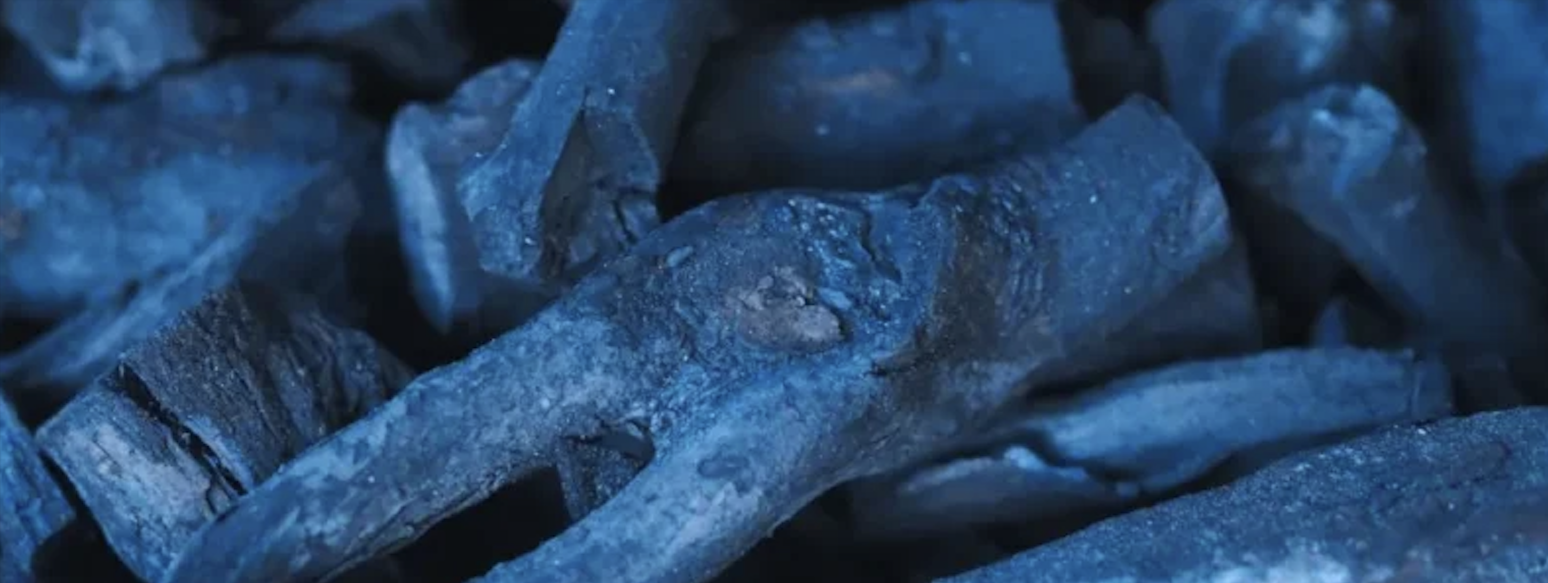 Project CERULEAN - Blue Biochar